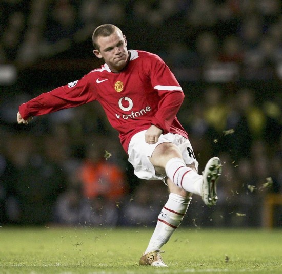 象的代表 象的代表